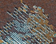 Konto woj 192lvl [egoria]