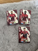 karty FIFA world cup qatar2022 qatar