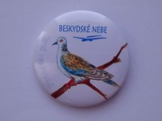 Przypinka metalowa - Frenstat pod Radhostem - beskidzkie niebo - ptak