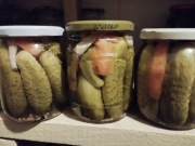 Ogórki konserwowe z własnej działki 5 sztuk 