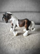 Ogier Tinker collecta 