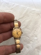 Bogaty damski Consul.