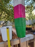 Doniczka na sprzedaż 