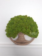 Drzewko szczęścia makrama chrobotek