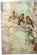 pocztówka Ptaki...
