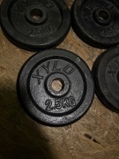 Obciążenie xylo 2.5kg 4 szt talerze obciążenia