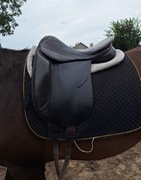 Siodło ujeżdżeniowe 17 cali