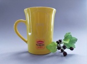 Kubek Lipton - Inspiring