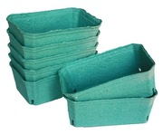 Pojemnik ECO owoce malina 250g a'600 szt pulpa