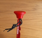 Dobijak śledzi namiotu