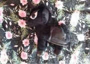 Czarny jednorożec maskotka