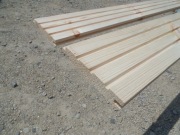 PODBITKA, BOAZERIA, SOSNA SYBERYJSKA 4 M