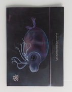 Teczka tekturowa A4 z gumką 