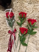 Wiecznie czerwona róża na Walentynki