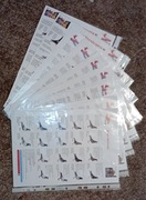 Gołębie młode po oryginałach X. Verstraete