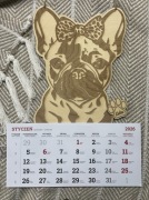 Kalendarz buldog różne rasy 2026