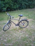 Rower miejski 29 cali