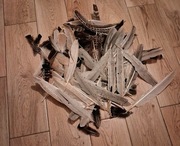 Naturalne Pióra Dekoracyjne 100 szt. INDYCZE