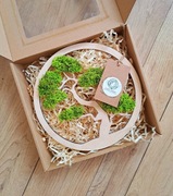 Drzewko dla nauczyciela, prezent na dzień nauczyciela 