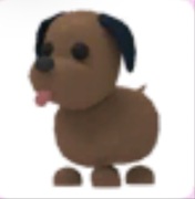 Chocolate Labrador - Adopt Me Roblox