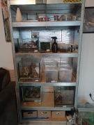 Profesjonalny regał hodowlany 180x90x40 - ogrzewanie + termostat + LED RGB