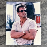 The Specialist Sylvester Stallone