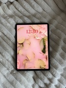 iPad Pro 11” M2 Cellular 256gb + Apple Pencil