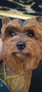 FIGURKA PSA YORKSHIRE TERRIER LEONARDO COLLECTION LEESER&PAVEY LTD