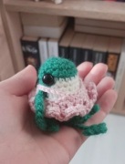 Uszydełkowana żabka balerina leggry frog