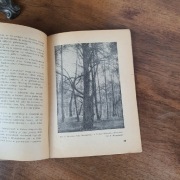 Cis Pospolity 1952 r. 