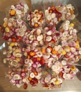 Bukiet kwiatów kocanki 