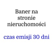 Baner na stronie nieruchomości. Reklama strony.