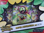 Pokemon TCG Mega Meganium ex box 