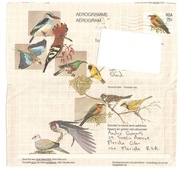 Ptaki na aerogramie (list lotniczy) z RPA