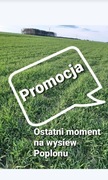Żyto ozime na poplon  20kg WSPIERAMY POLSKIE ROLNICTWO