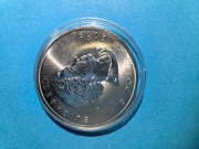 Kanada, 5 dolarów 2019, Liść Klonu, 1 Oz, Ag999
