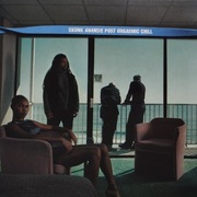 Skunk Anansie – Post Orgasmic Chill      CD  alternative rock  UK
