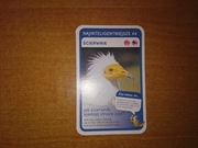 Najinteligentniejsze Ścierwnik nr 44 Super Zwierzaki Biedronka