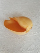 Duża naturalna muszla ślimaka żółtego ślimaka kokosowego