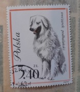 Znaczek pocztowy owczarek podhalański 