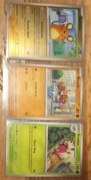 Karta Pokemon perfect order 