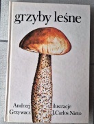 Andrzej Grzywacz Grzyby leśne