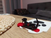 PODKŁADKA 3D POD KUBEK PIES JAMNIK Z PODUSZKAMI PREZENT PERSONALIZACJA