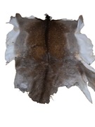 skóra z daniela zimowa suknia 