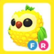 Pineapple Owl (F) (R) - Adopt Me!
