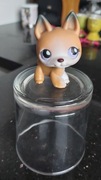 Pet Shop  Hasbro vintage Unikat 2005