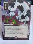 MTG Culling the Weak (V.3) *MYSTICAL ARCHIVE* *SILVER SCROLL FOIL*