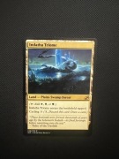[MTG] [PROXY] Indatha Triome