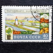 ZSRR Mi.Nr. 1741 1954r. Uprawa warzyw