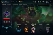Konto LOL League of legends EUW Platyna 3 125 Postaci 107 Skinów 417 LVL